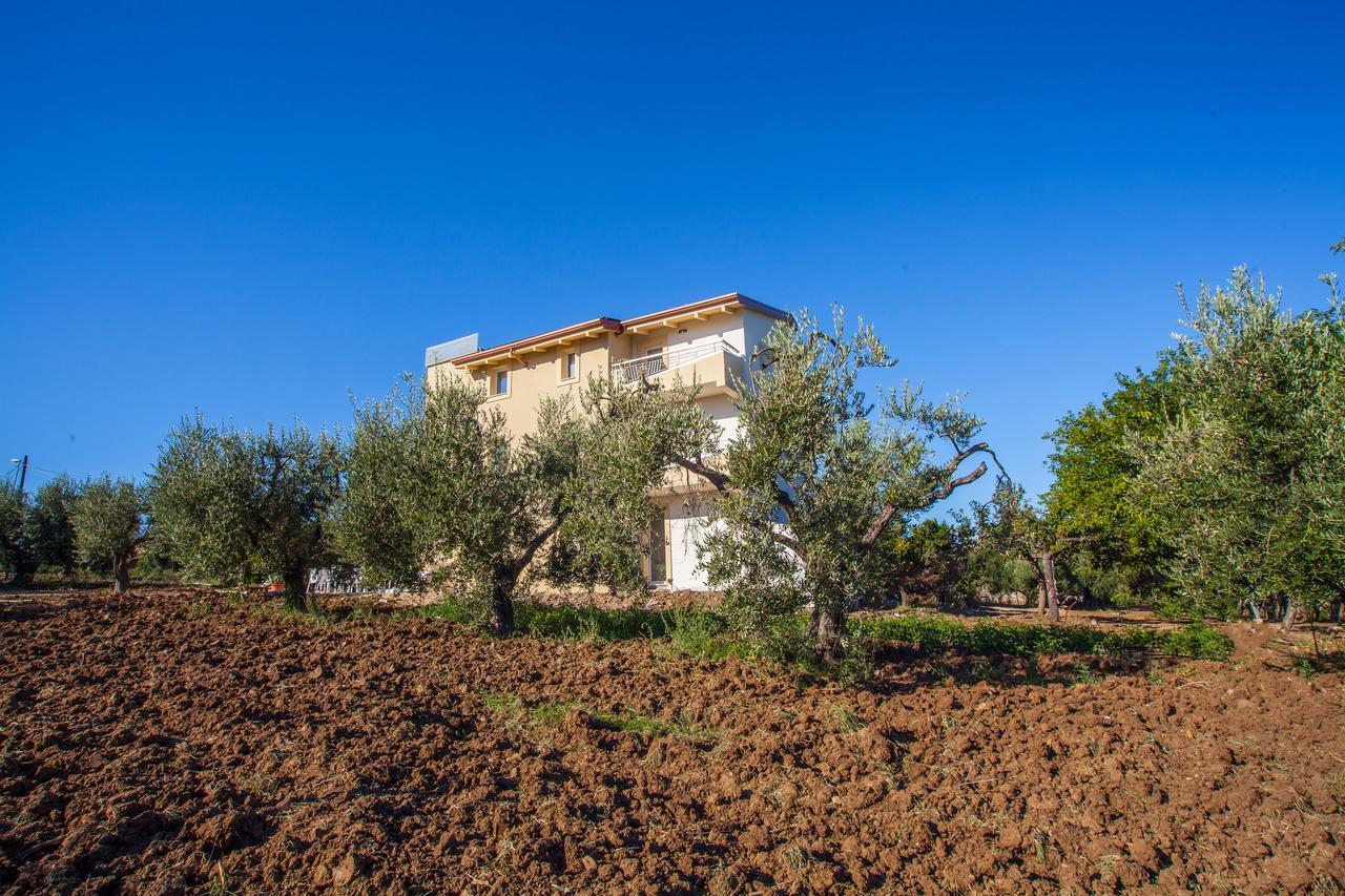 Il Gallo Con Gli Stivali Termoli Exterior photo